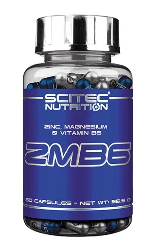 Scitec ZMB6 - 60 Kapsel - SHOPOUTLET24. Der Protein und Supplement Dealer