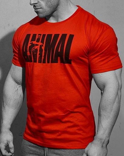 Universal Animal T-Shirt "Iconic" red - SHOPOUTLET24. Der Protein und Supplement Dealer