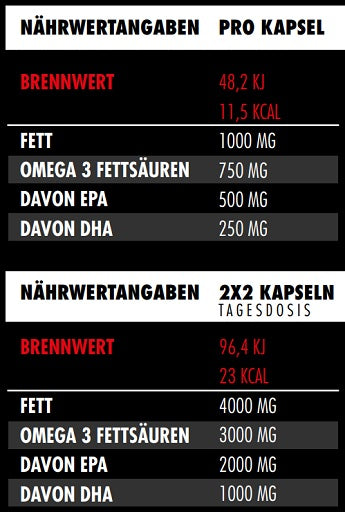 Big Zone Omega 3 Fury Triglyceride 120 Kapseln - SHOPOUTLET24. Der Protein und Supplement Dealer