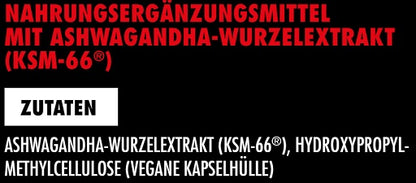Big Zone Ashwagandha KSM-66 120 Kapseln - SHOPOUTLET24. Der Protein und Supplement Dealer