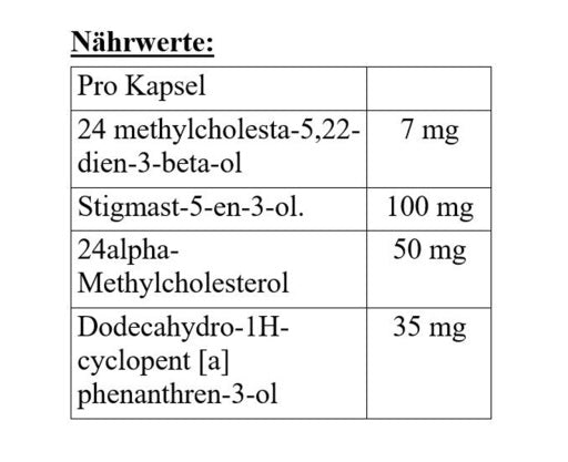 Megabol Testosterol 250 - 30 Kapsel