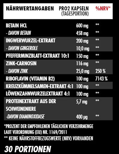 Big Zone Gut 60 Kapseln - SHOPOUTLET24. Der Protein und Supplement Dealer