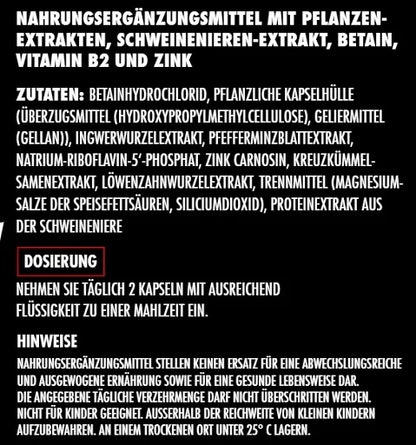 Big Zone Gut 60 Kapseln - SHOPOUTLET24. Der Protein und Supplement Dealer