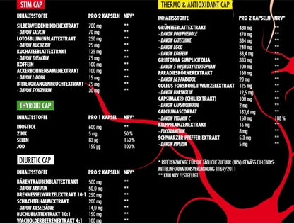 Big Zone Invictus DNP - Max Madsen Signature - SHOPOUTLET24. Der Protein und Supplement Dealer