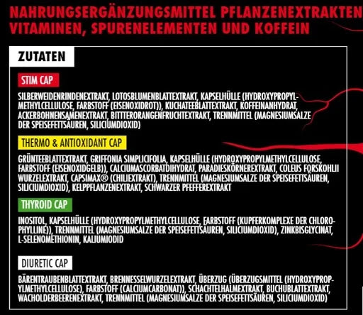 Big Zone Invictus DNP - Max Madsen Signature - SHOPOUTLET24. Der Protein und Supplement Dealer