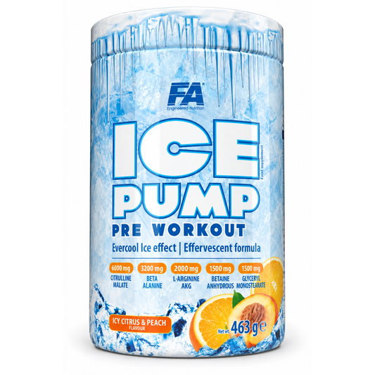 FA Nutrition ICE Pump PROBEN 10x18,5g