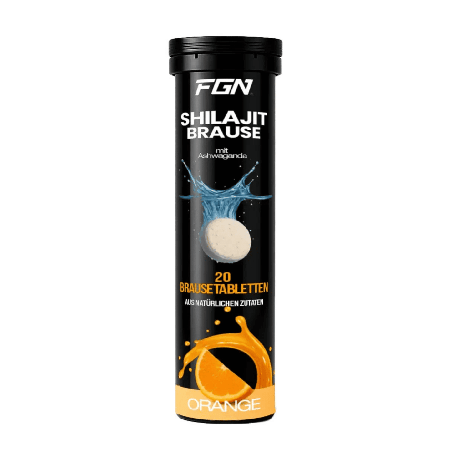 FGN Shilajit 20 Brausetabletten