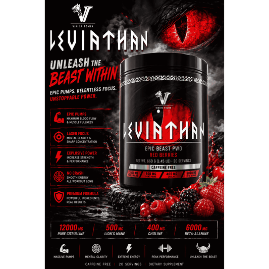 Viking Power - Leviathan Hardcore PWO - 660g - SHOPOUTLET24. Der Protein und Supplement Dealer