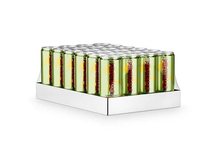 WEGAIN EAA Drink Birne - 24x330ml - SHOPOUTLET24. Der Protein und Supplement Dealer